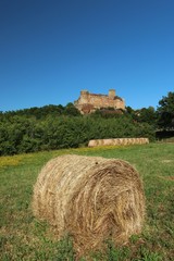 The castle of Castelnaud,Dordogne , France
