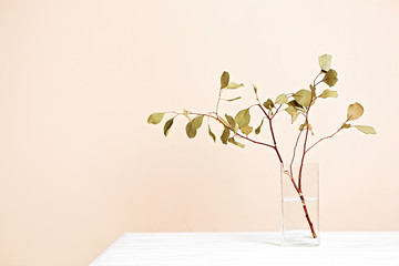 Green branch in vase on light background