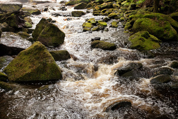 River and mossy rocks