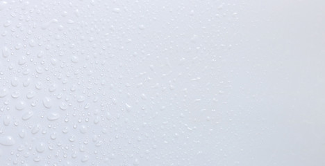 water drops an white background
