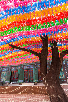 Tree, colorful paper lanterns and ornate exterior of the Jogyesa Temple in Seoul, South Korea. Lanterns are set for the Lotus Lantern Festival, celebrating the Buddha's birthday.
