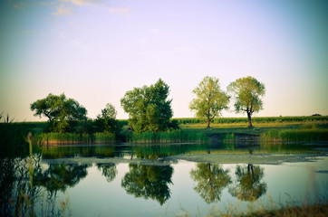 Reflections of green trees, blue sky and clouds in the calm water lake