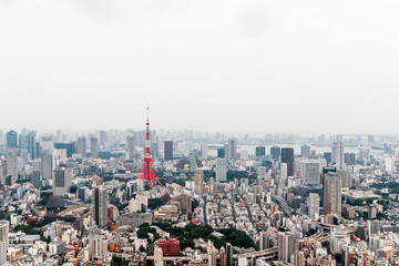 Fototapeta na wymiar Aerial view of Tokyo Skyline Tokyo, Japan