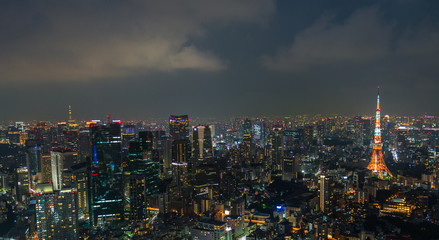 Fototapeta na wymiar Aerial view of Tokyo Skyline Tokyo, Japan