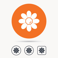 Flower icon. Florist plant with petals symbol. Orange circle button with web icon. Star and square design. Vector