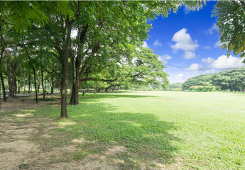 Green park at Vachirabenjatas Park (Rot Fai Park) Bangkok, Thailand