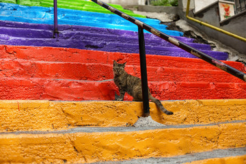 Colorful stairway in Istanbul