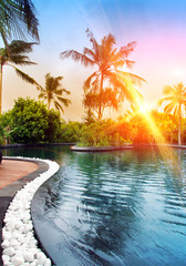 Pool in tropical garden.