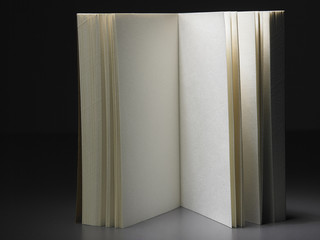 book with blank page