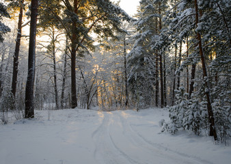 Small country road in winter with sunshine