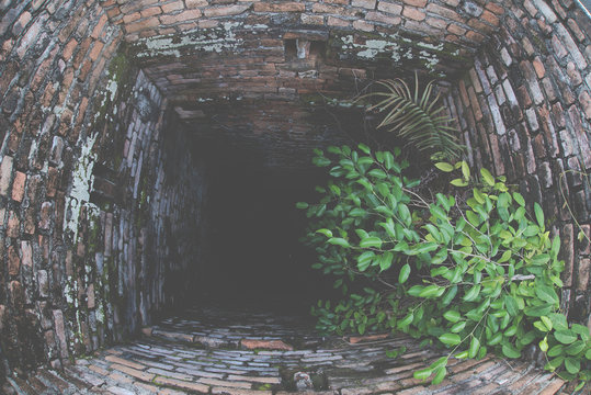 pond tunnel
