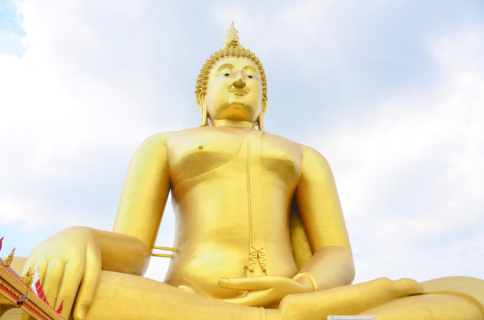 Buddha statue buddha image
