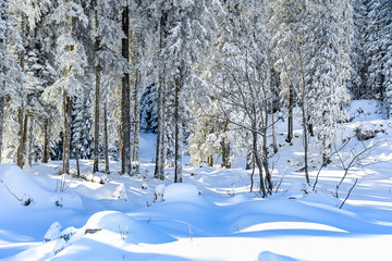 Mostviertel in winter