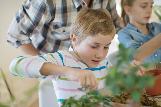 School boy in biology class learning about plant