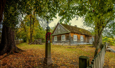 jesień na Podlasiu © Janusz Lipiński