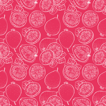 seamless ripe sketch guava
