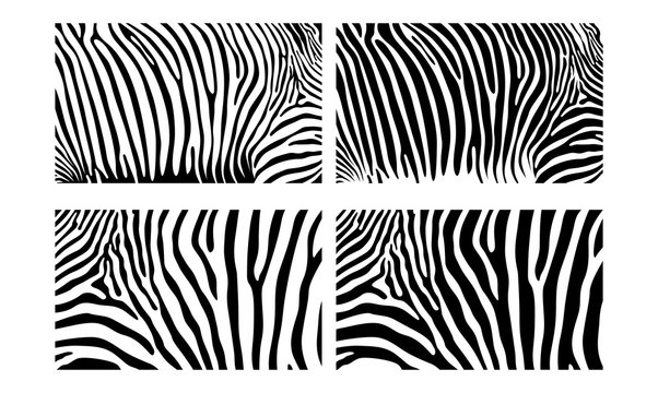 Black White Zebra Seamless Vector Skin Pattern Illustration