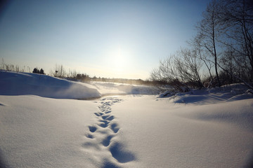 Fototapeta na wymiar winter landscape footprints in the snow
