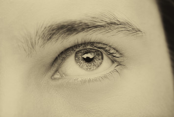 Close up image of insightful look blue human eye