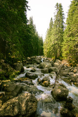 A beautiful mountain river landscape in Tatry, Slovakia