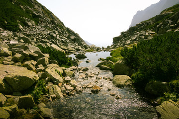 A beautiful mountain river landscape in Tatry, Slovakia