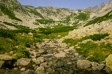 Fototapeta premium A beautiful mountain river landscape in Tatry, Slovakia