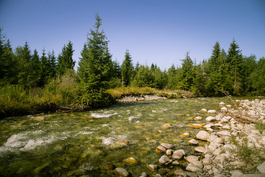 A beautiful mountain river landscape in Tatry, Slovakia