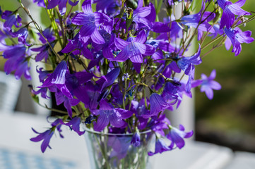 Close-up of a simple bouquet of wild flowers in a glass vase, standing on a table on a sunny morning for a romantic background