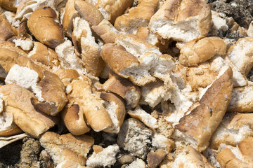 stale bread baguettes thrown on the trash