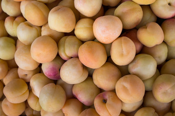 The light apricots background.