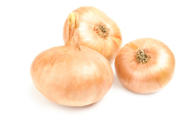 Onion isolated on a white background cutout