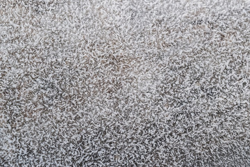 Hoarfrost on tree trunk surface