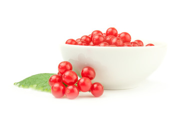 Viburnum berries  isolated on a white background cutout