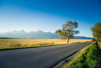 Fototapeta na wymiar A beautiful mountain landscape with a road