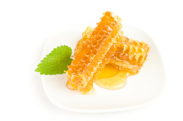 Honey bee isolated on a white background cutout