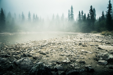 Obraz premium A beautiful mountain lake in a fog in Tatry, Slovakia. Low saturation retro style