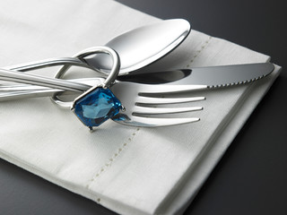 exclusive propose dinner