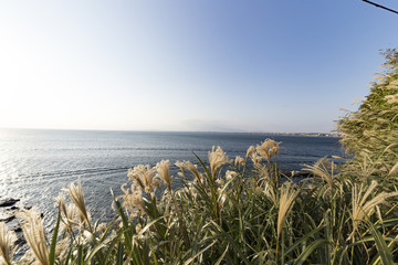 View of Enoshima Island From the Observation Deck at Samuel cocking garden - Kamakura, Japan