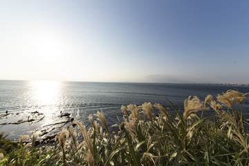 View of Enoshima Island From the Observation Deck at Samuel cocking garden - Kamakura, Japan