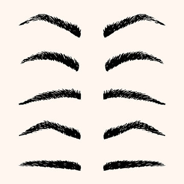 Types of brow vector illustration. Template hand drawing eyebrow