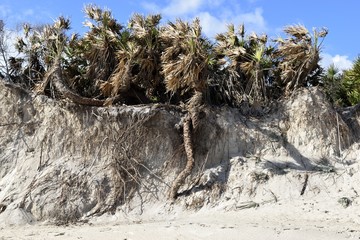 Beach erosion damage caused by hurricane Matthew hitting along the east coast of Florida, USA