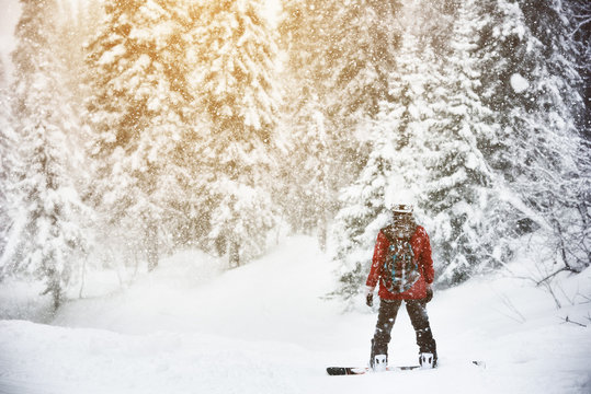 Snowboarder stands snow frozen forest backcountry
