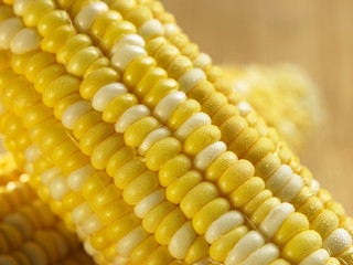 ribe corn