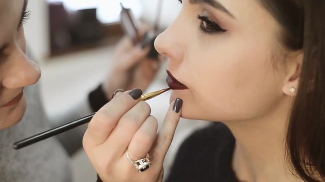 professional makeup artist paints a model lips,makeup, professional makeup,