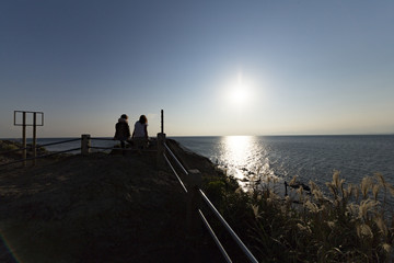 View of Enoshima Island From the Observation Deck at Samuel cocking garden - Kamakura, Japan