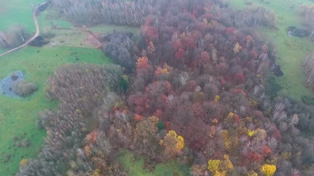 Autumn forest, view from above 