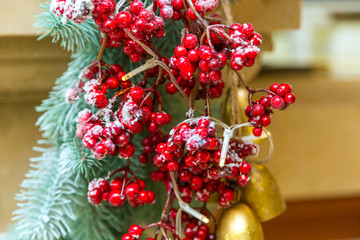 Snow on red viburnum scenery