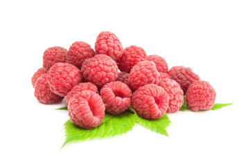 Rubusberry isolated on a white background with clipping path