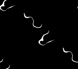Obraz premium Abstract seamless pattern on a black background with white stripes, lines, curves, thin and thick, fantasy