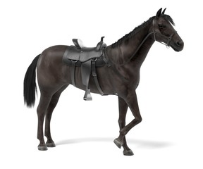 realistic 3d render of horse